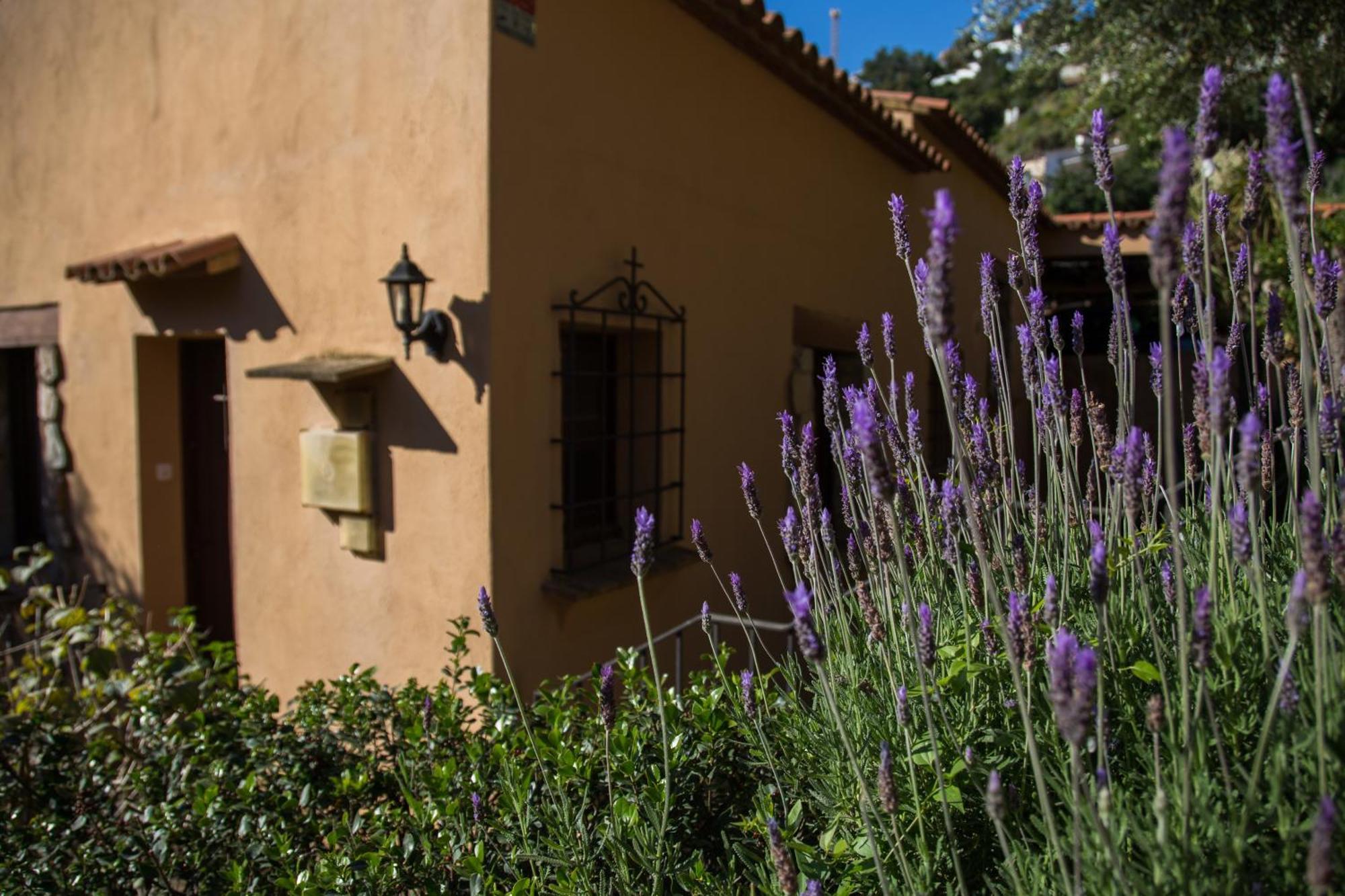 Corti Mori Sa Riera Vistas Mediterraneas Begur Exteriér fotografie